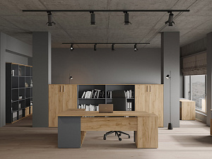 Мебель в кабинет руководителя Pointex Зион лайт (Zion Light)