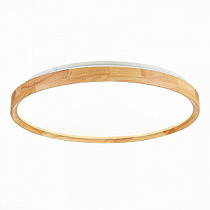 Потолочный светильник Evoluce Delia / Делиа SLE201382-01
